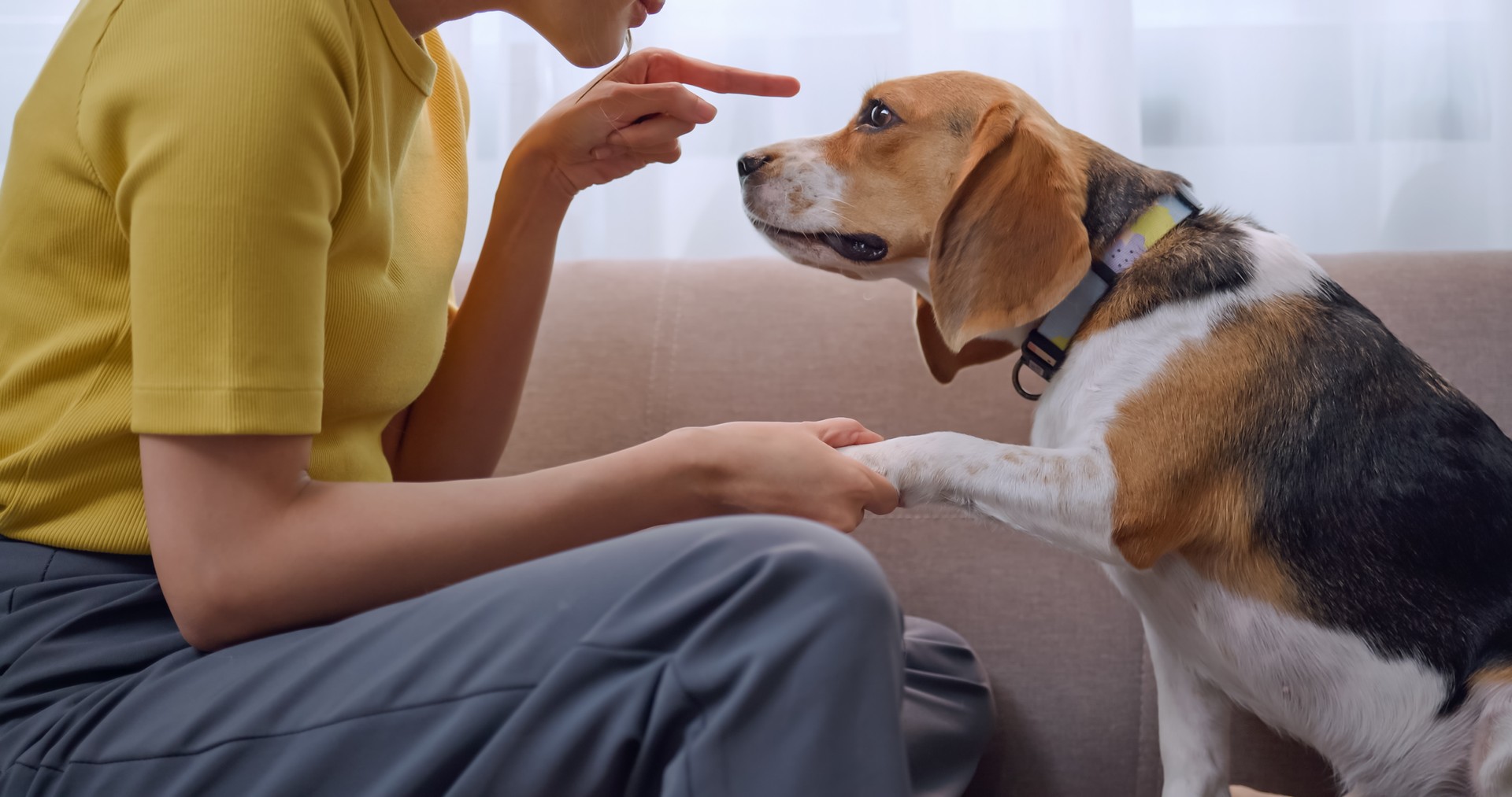 A young woman scolds her dog for destroying household items.